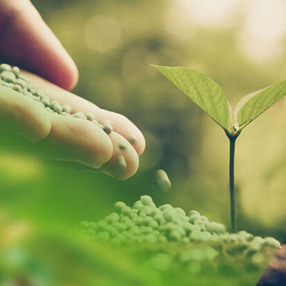 düenger bubblenavibild